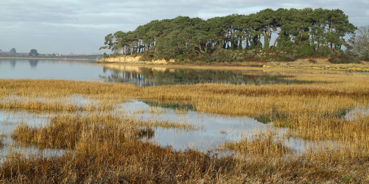 Le Golfe du Morbihan. Crédit photo :  R. Robin / OFB