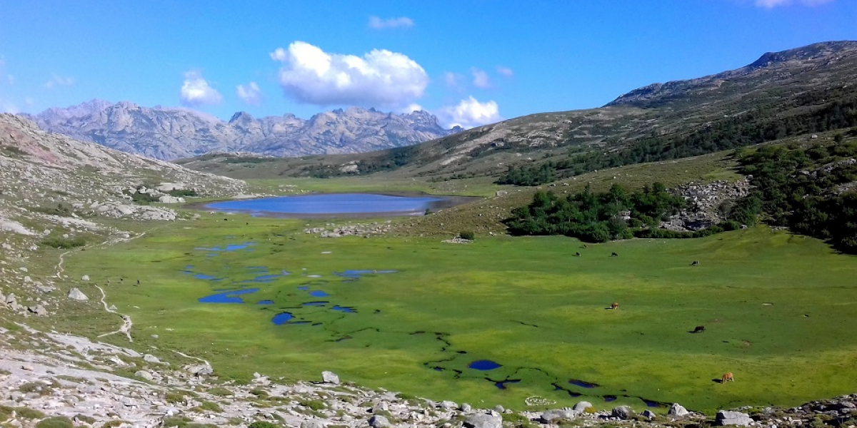 Le lac de Nino, source du Tavignano, est situé sur le plateau du Camputile. Il est entouré de pozzines, sortes de petits lacs tourbeux. Crédit photo : Franck Fetzner 