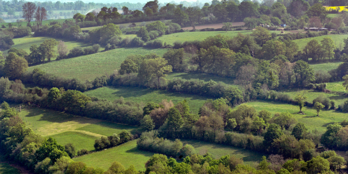 Paysage du bocage normand. Crédit photo : Laurent Mignaux / TERRA