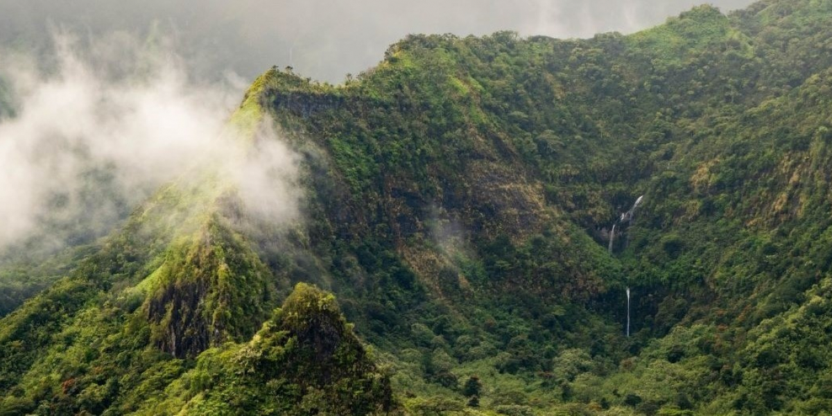 Vallée de la Punaruu, Tahiti. Crédit photo : E. Moreau / OFB