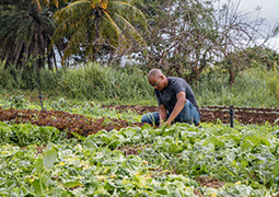Crédit: Dannick Narcisse / Office français de la biodiversité