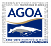 Logo du sanctuaire de mammifères marins Agoa