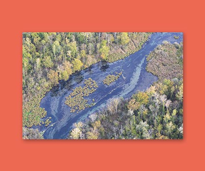 Colloque sur le renouveau du sauvage