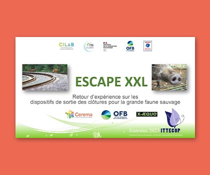 Webinaire du projet ESCAPE XXL - Retour d’expérience sur les dispositifs de sortie des clôtures pour la grande faune sauvage