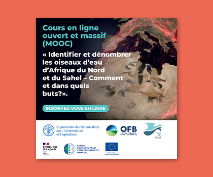 MOOC "Identifier et dénombrer les oiseaux d'eau d'Afrique du Nord et du Sahel : Comment et dans quels buts ?"